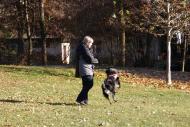 Merly und Mandy im Park November 11_01